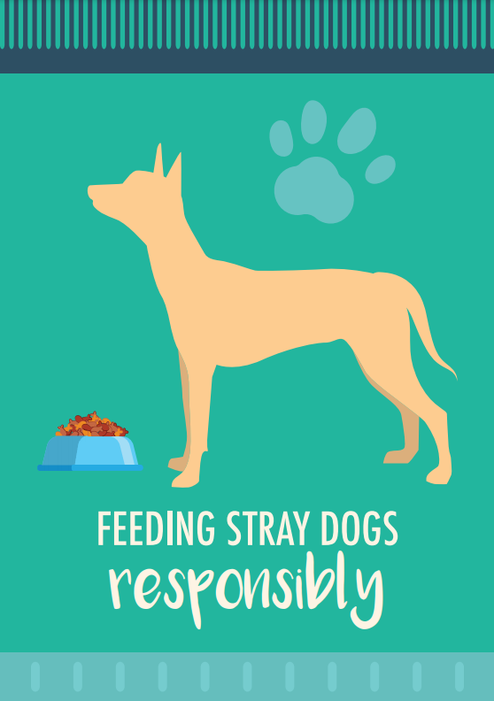 جزوه‌ی آموزشی در مورد غذارسانی مسئولانه به سگ‌های ولگرد در سنگاپور