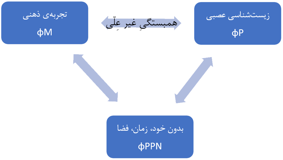 تصویر هارالد آتمانسپاکر و دین ریکلز از حدس پائولی-یونگ، منبع: مارک ویتمن